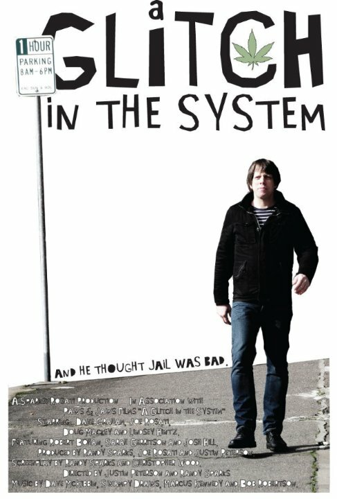 A Glitch in the System (2010)